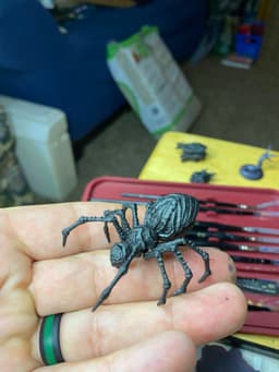 Miniature 11