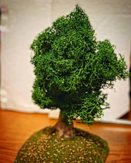 Miniature 180